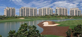 flats in dlf camellias