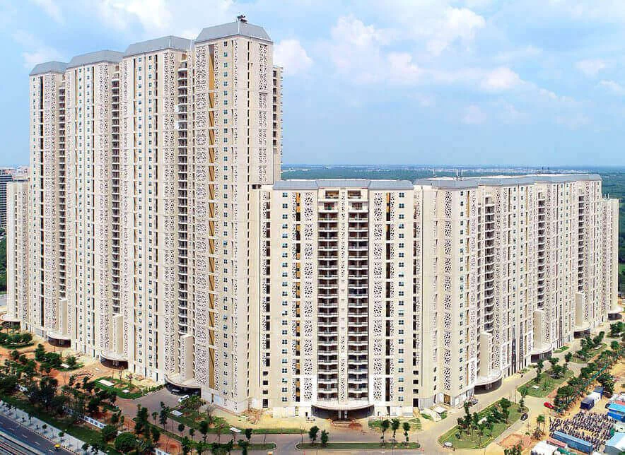 camellias dlf phase 5